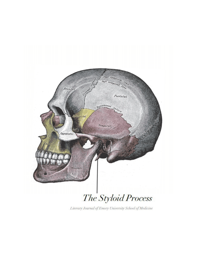 The Styloid Process